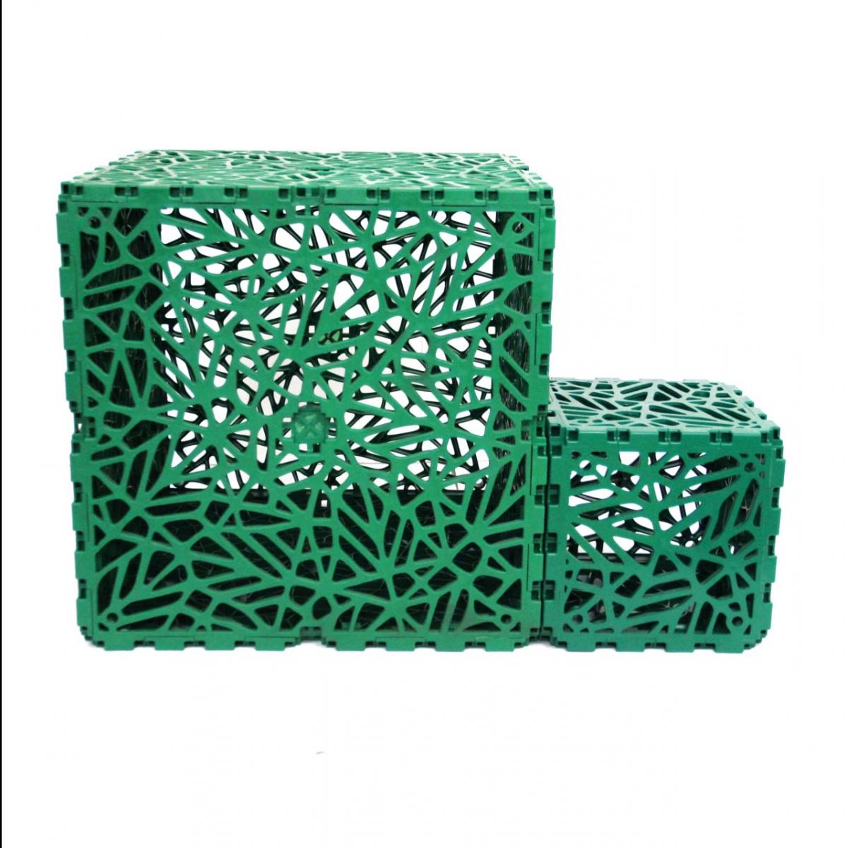 Куб Bion (большой)